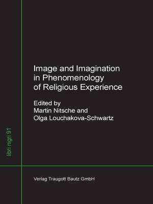 cover image of Image and Imagination in the Phenomenology of Religious Experience